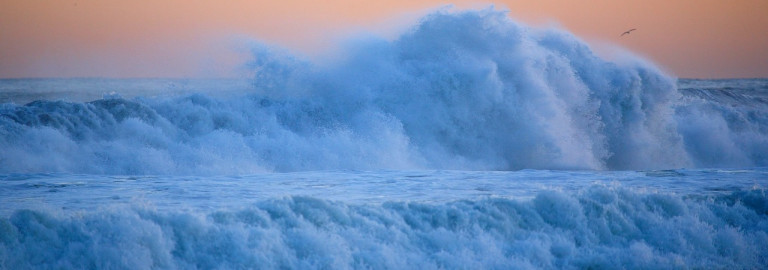 Coming Wave