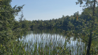 Bild vom Crawford Lake