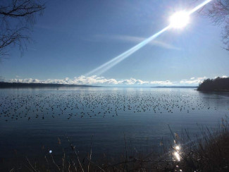 Weihnachten am Starnberger See